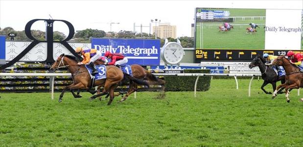 Swear - Royal Randwick - 03/9/2016